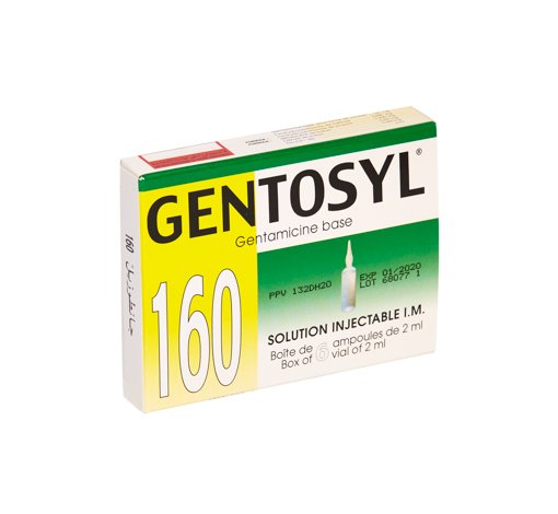 GENTOSYL IN 160MG B6 INJECTABLES – Sopha Sahara